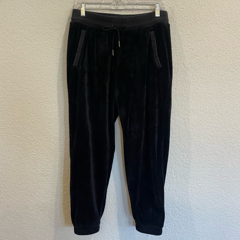 Athleta Recover Cozy Jogger Velour/Velvet - Double Karma Soft Inside and Out! - Picture 4 of 7